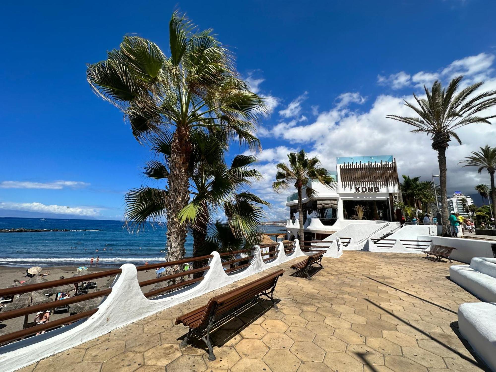 Appartement Torres De Yomely - Y14A à Playa de las Américas Extérieur photo
