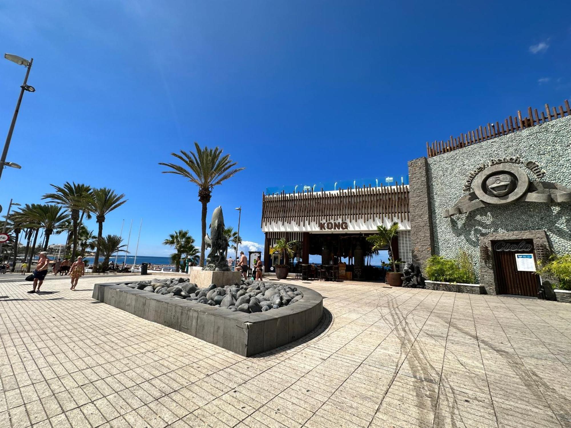 Appartement Torres De Yomely - Y14A à Playa de las Américas Extérieur photo